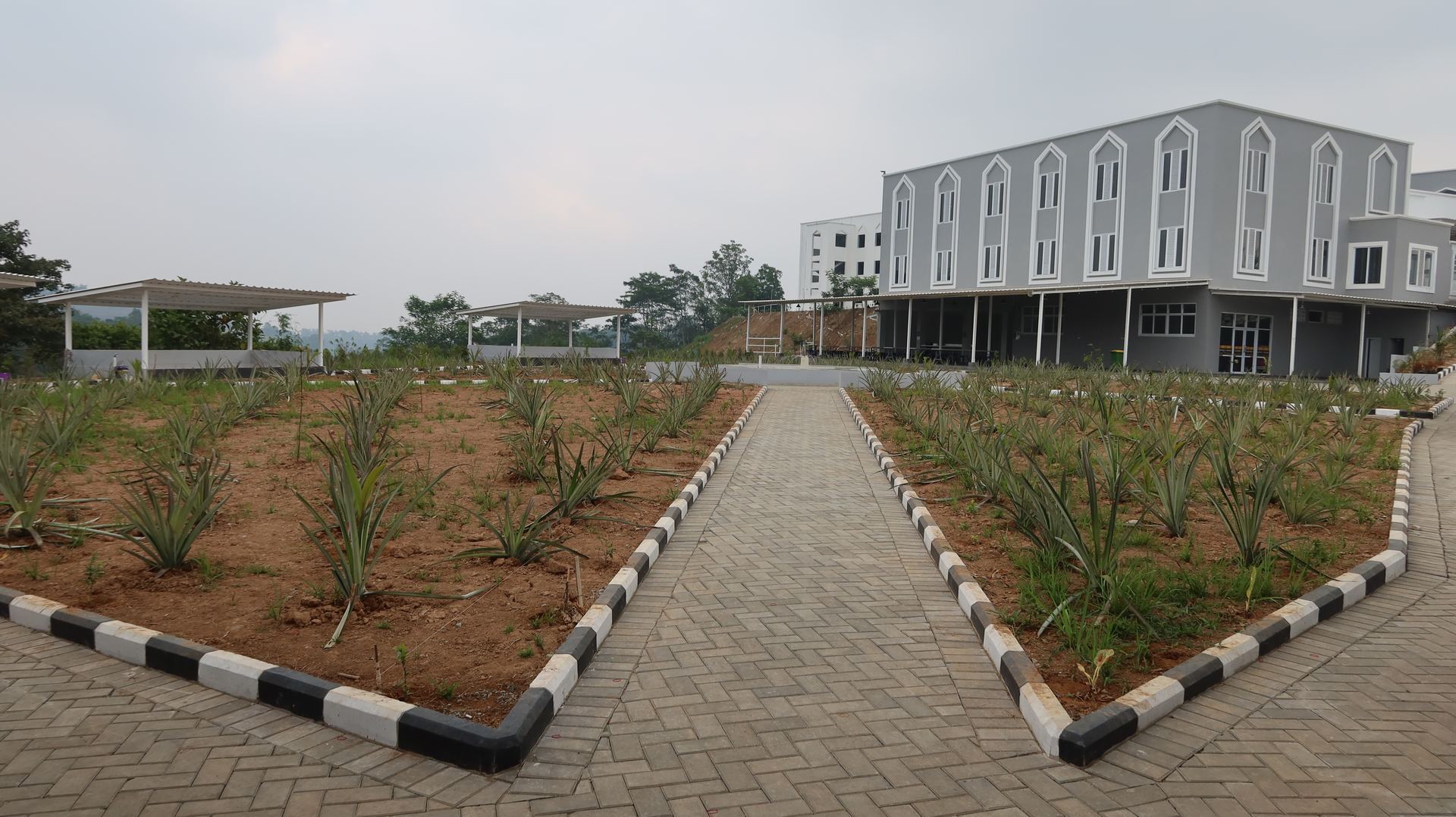 Taman area akhwat